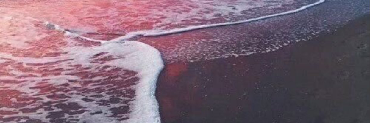 BrieSwennes's profile banner image