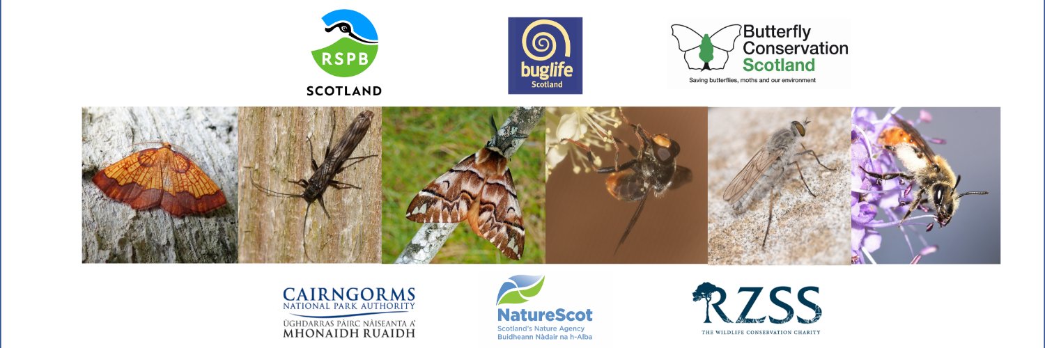 Rare Invertebrates in the Cairngorms banner