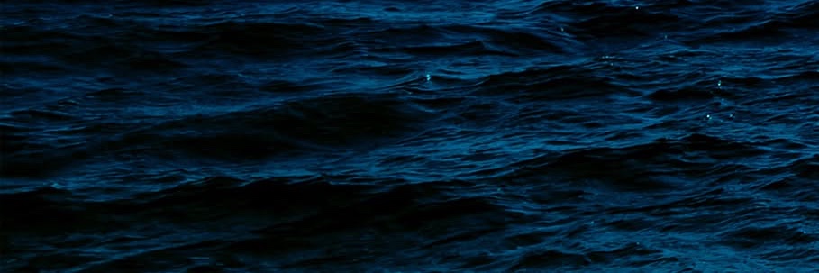 rico_t's profile banner image