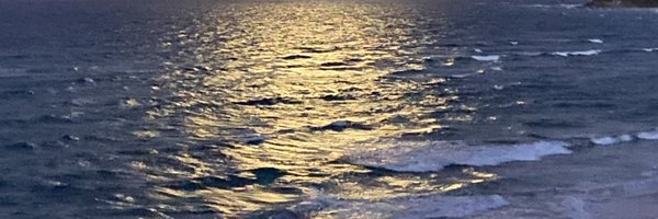 emmahwlab Profile Banner