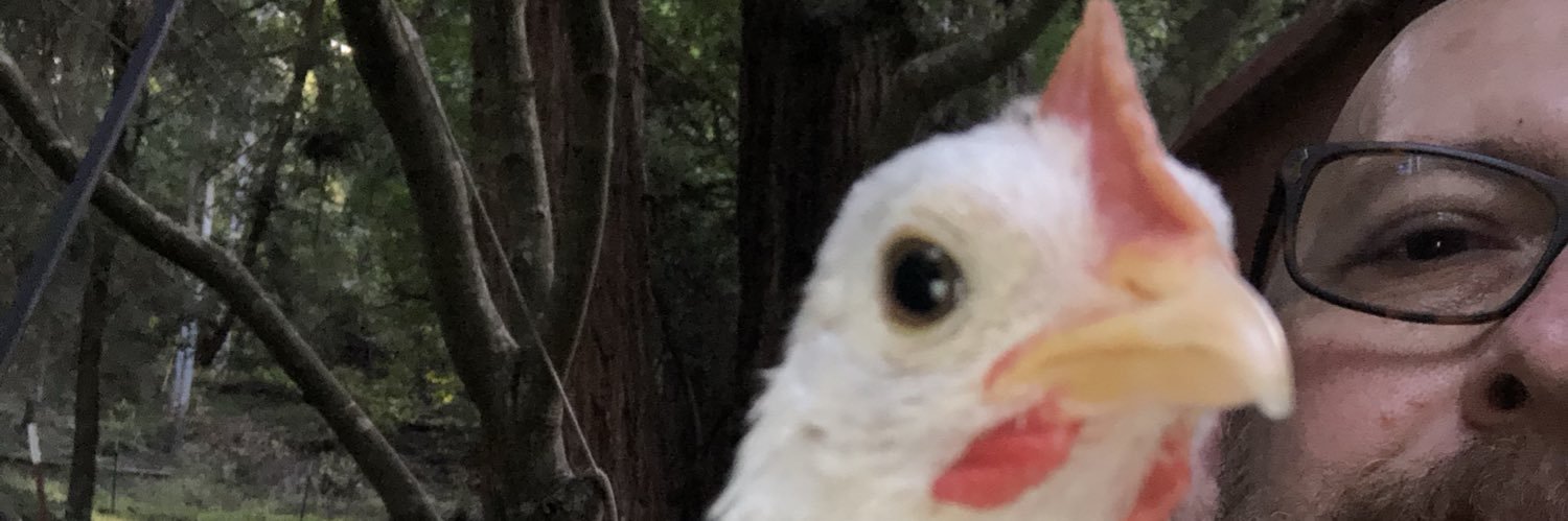 jwolfet's profile banner image