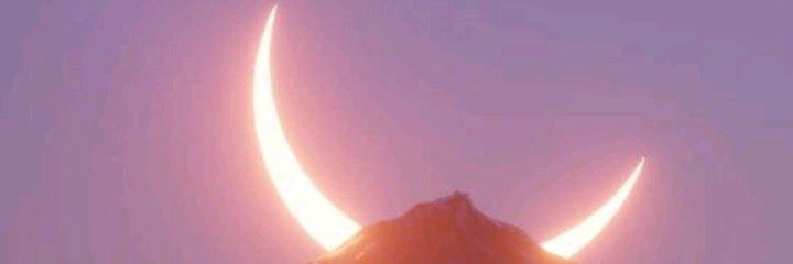 meliss__c's profile banner image