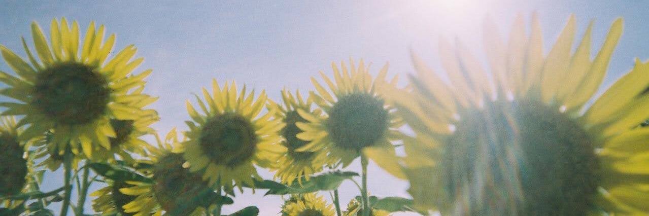 a7ex14w6's profile banner image