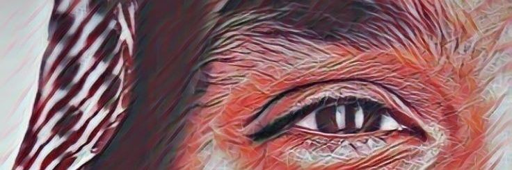 ابو ريفان banner