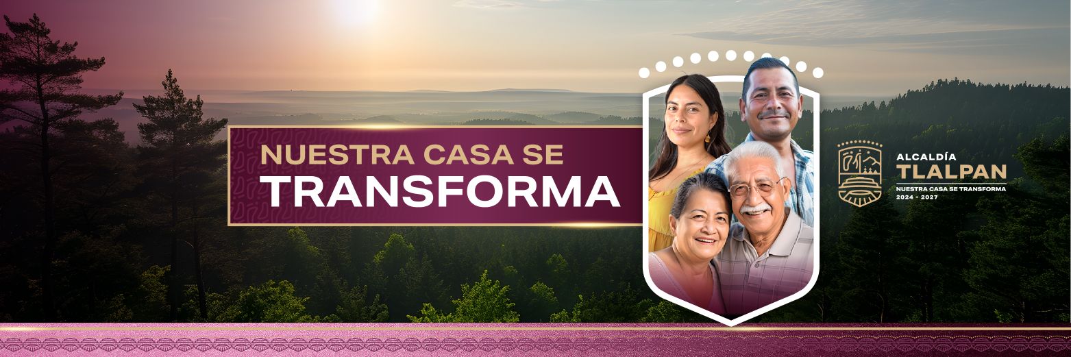 Alcaldía Tlalpan banner