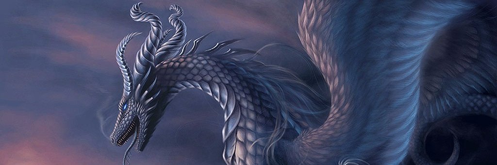 DragonDlarge's profile banner image