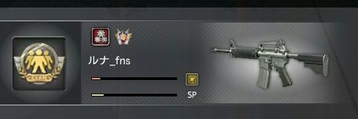 Litvyak1945's profile banner image