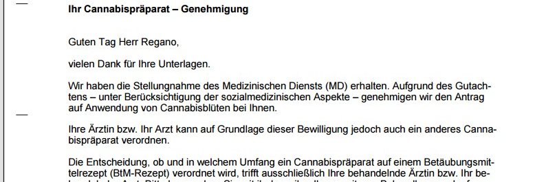 Florian Regano (Systemsprenger) banner