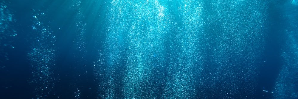 NegaSubucni's profile banner image