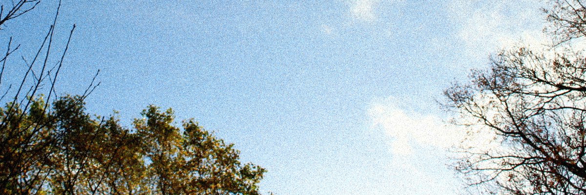 Mx87in's profile banner image