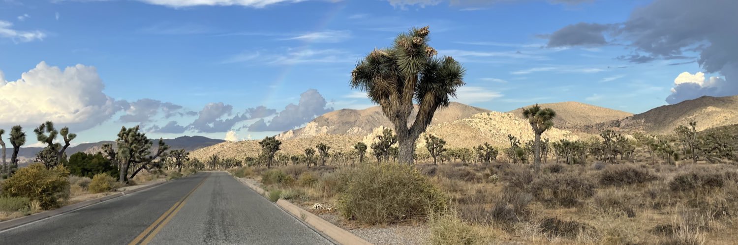 AngryAceArtemis's profile banner image