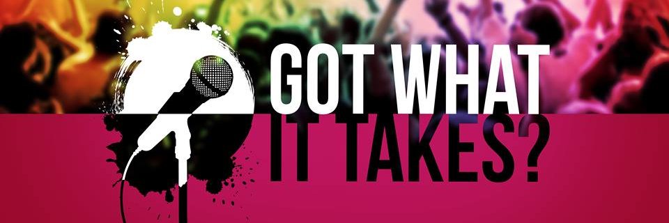 Got What It Takes? banner