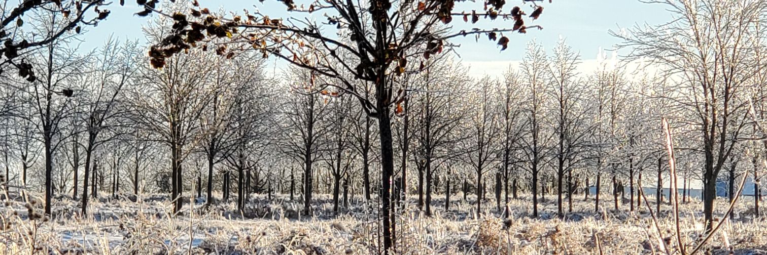 HAHTCoalition banner