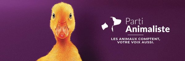 ArizteguiEddine Profile Banner