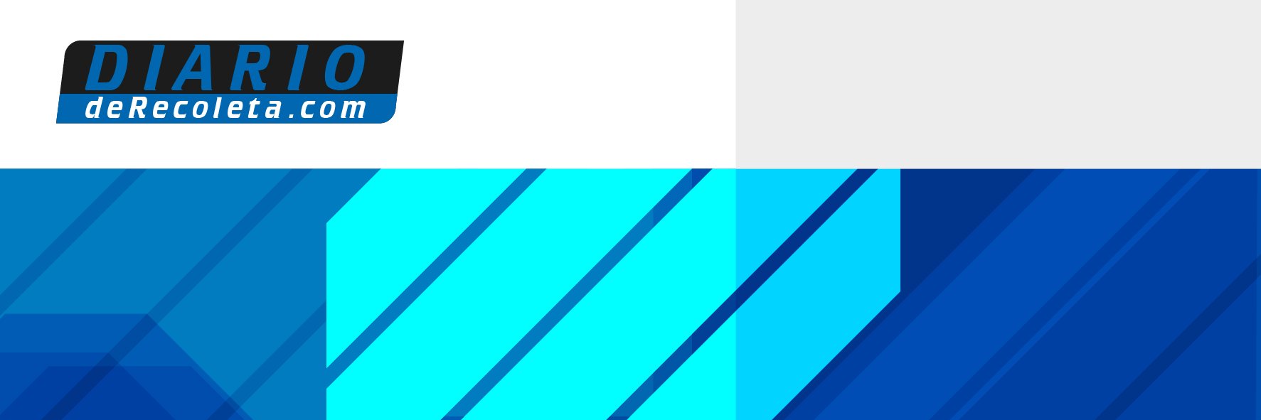 DiarioRecoleta's profile banner image