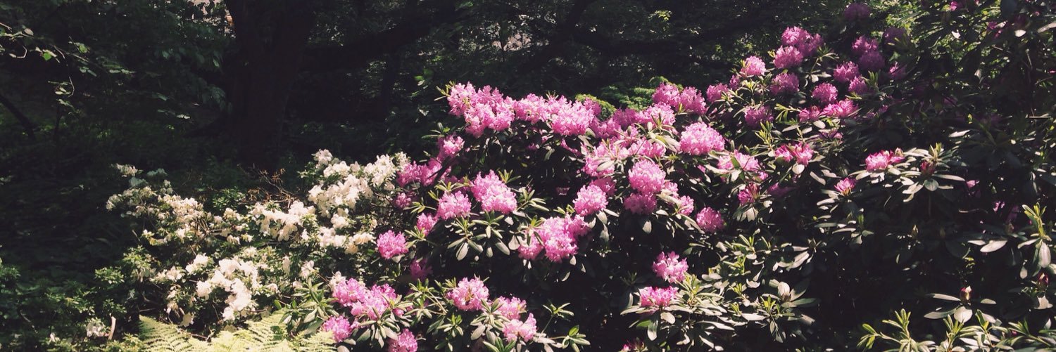 aspence16's profile banner image