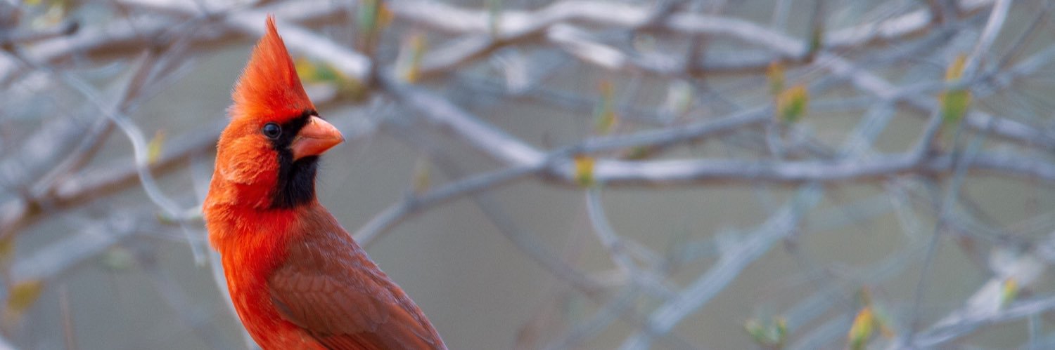 mattpatrick360's profile banner image