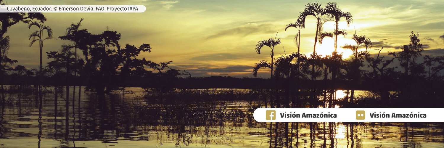 Visión Amazónica banner