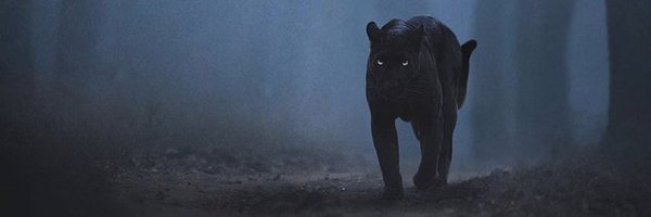 Sn1per_T Profile Banner