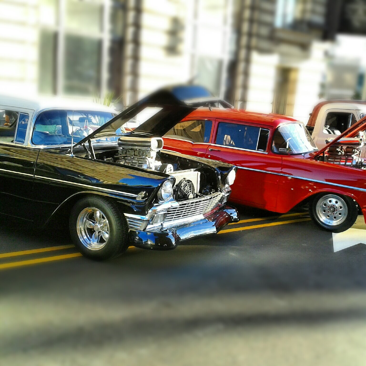 Angie D'Arcangelis banner