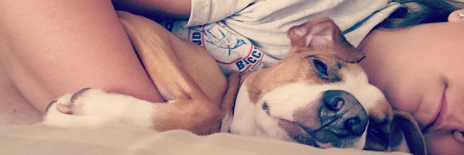 kaleelee97's profile banner image