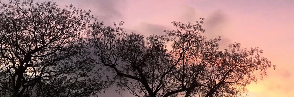 cortesclara_'s profile banner image