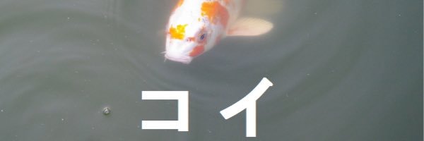 dislikerain10's profile banner image