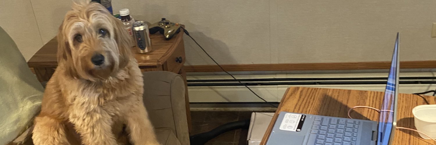 Carolyn Wargo banner