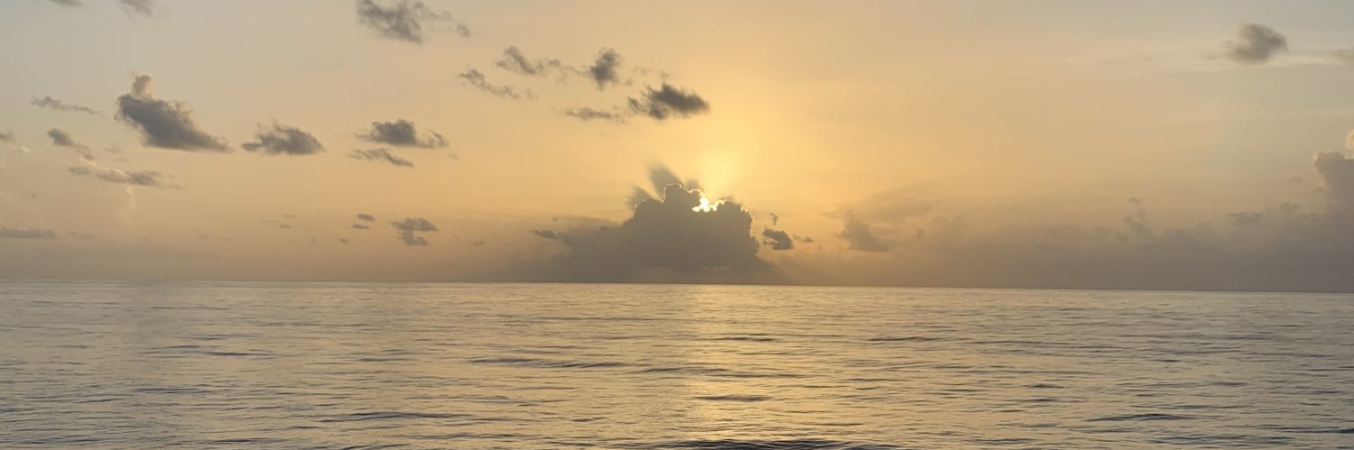 vbucardo's profile banner image