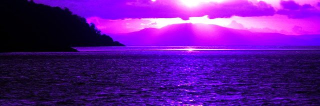 Sam Kular banner