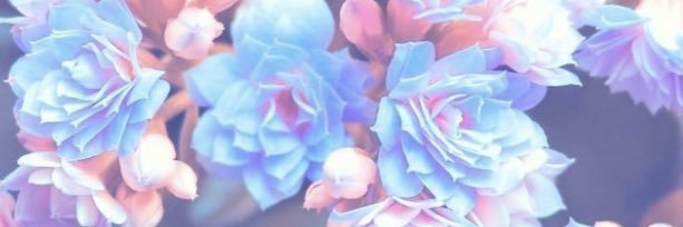 MiaSlaay's profile banner image