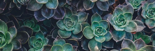 ThegreeneryLDN Profile Banner