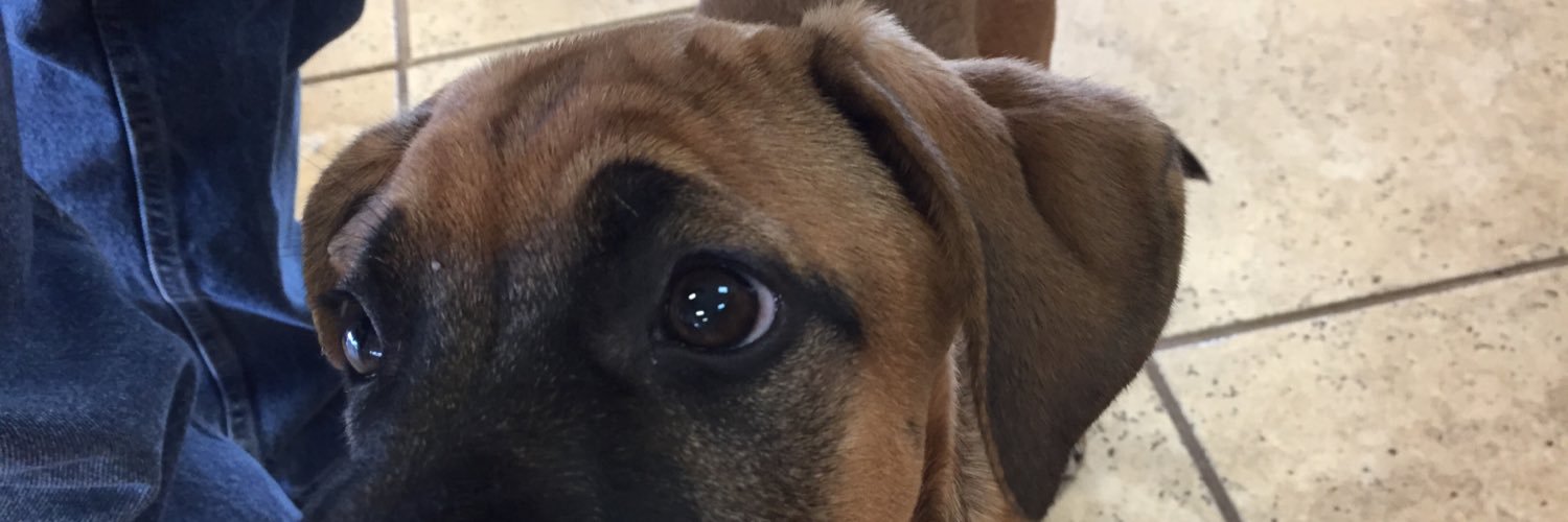 TwixieTweets's profile banner image
