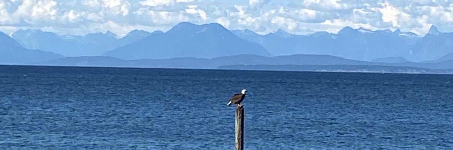 deecent99's profile banner image