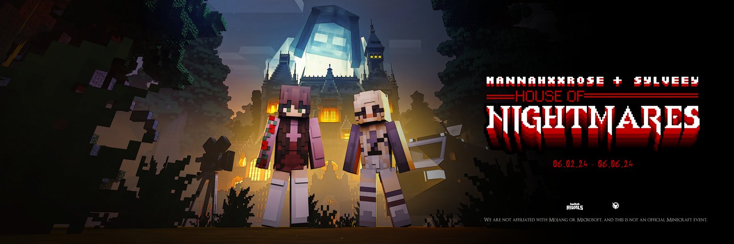 Team Visionary's banner