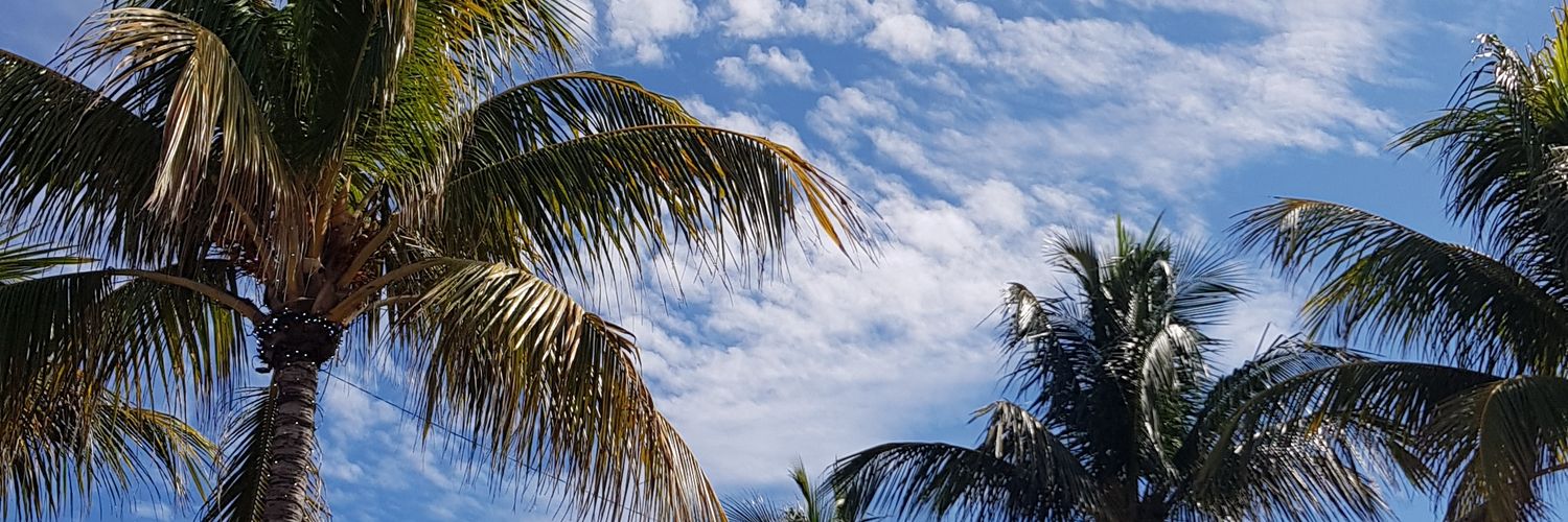 LaGiuliFerrari's profile banner image