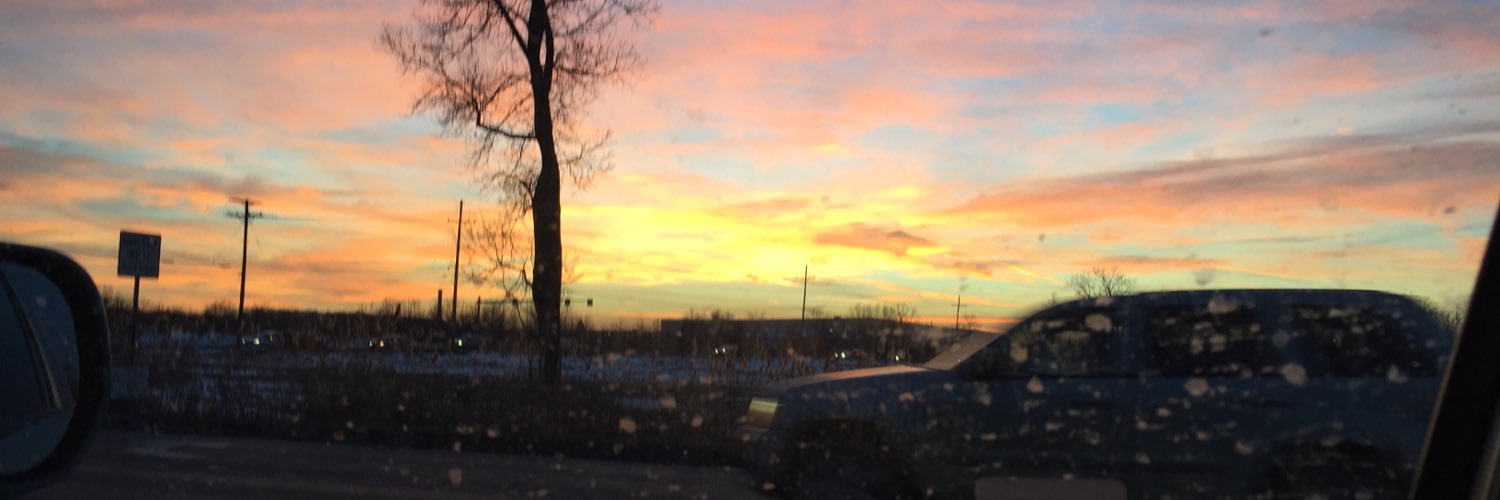 melvansloten's profile banner image