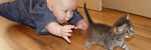 Jessica McLeod banner