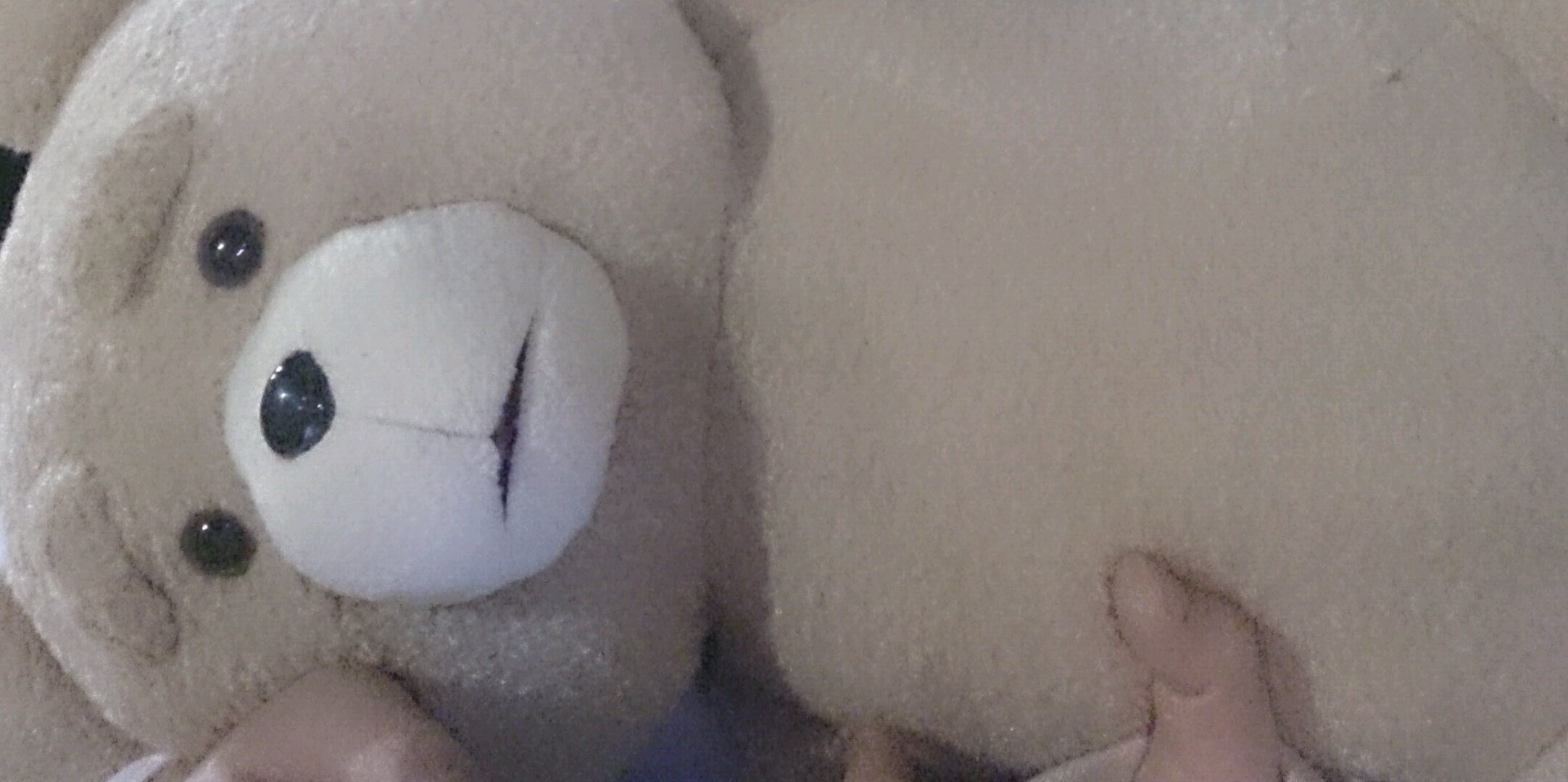 kidako's profile banner image