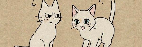 botkettzy's profile banner image