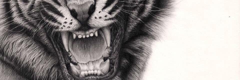 RedionDoko's profile banner image