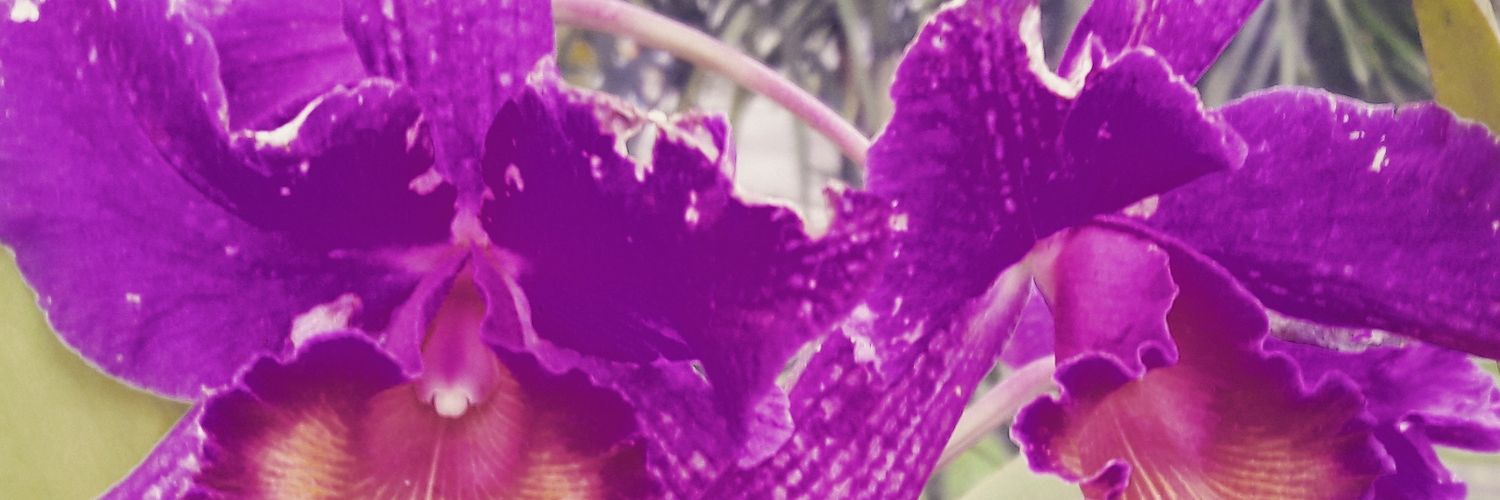 gara_ece's profile banner image