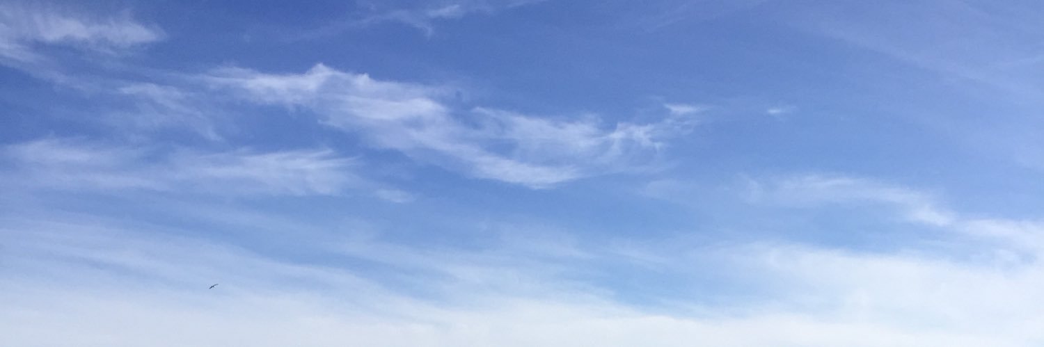 hunterhowwow's profile banner image