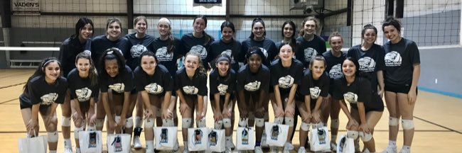 Eagle Mountain VBall banner