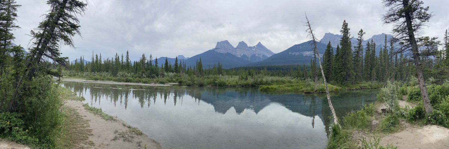 Alex Goldberg banner