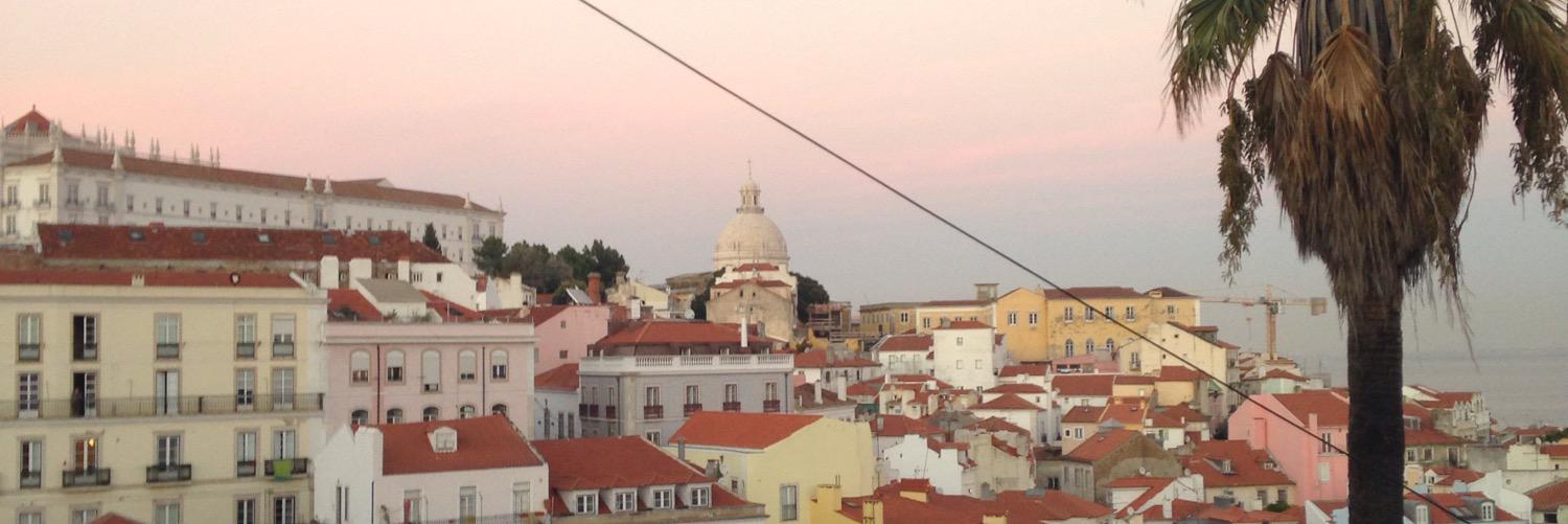 Dr Megan Smith banner