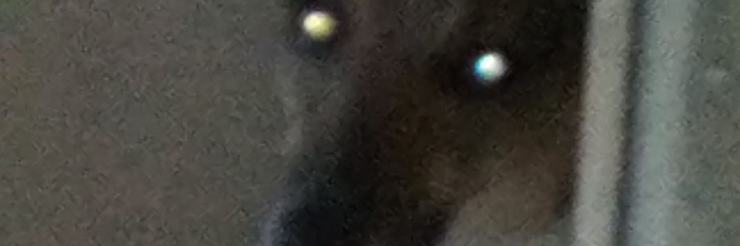 Nigelkps1's profile banner image