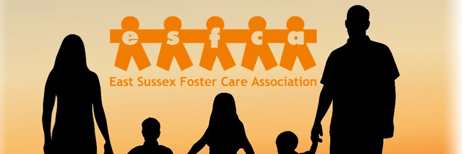 esfcainfo's profile banner image