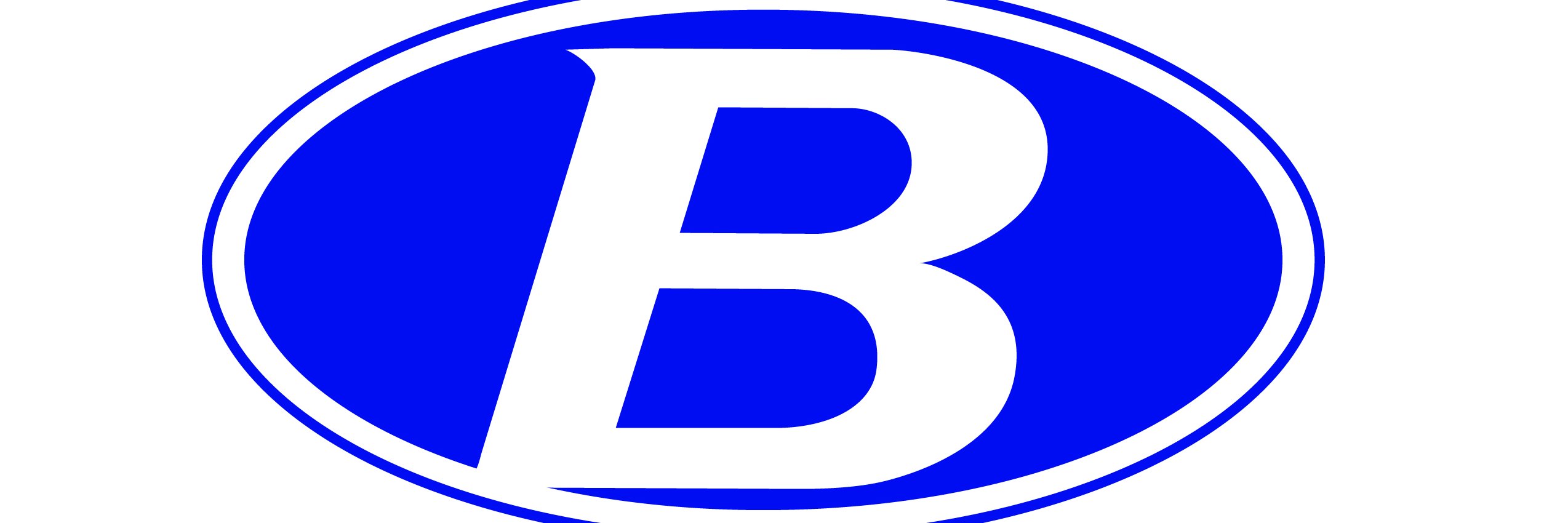 BrunswickBoysVBall banner
