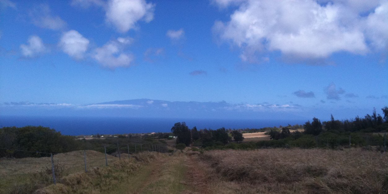 Donald Rucker banner